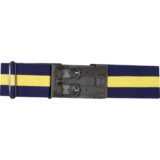 Picture of The PWRR Stable Belt