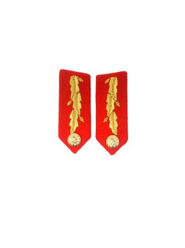 Picture of Gorgets - Staff Officer - General - Nos 2 & 4 Dress (Left & Right)
