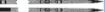 Picture of Infantry, Corps & Royal Marines Ceremonial Sword - CIIIR